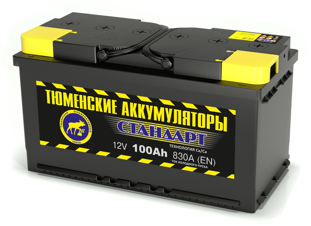 Батарея аккумуляторная Tyumen Battery Standard 100 Ач 830А L5 (прям/п)